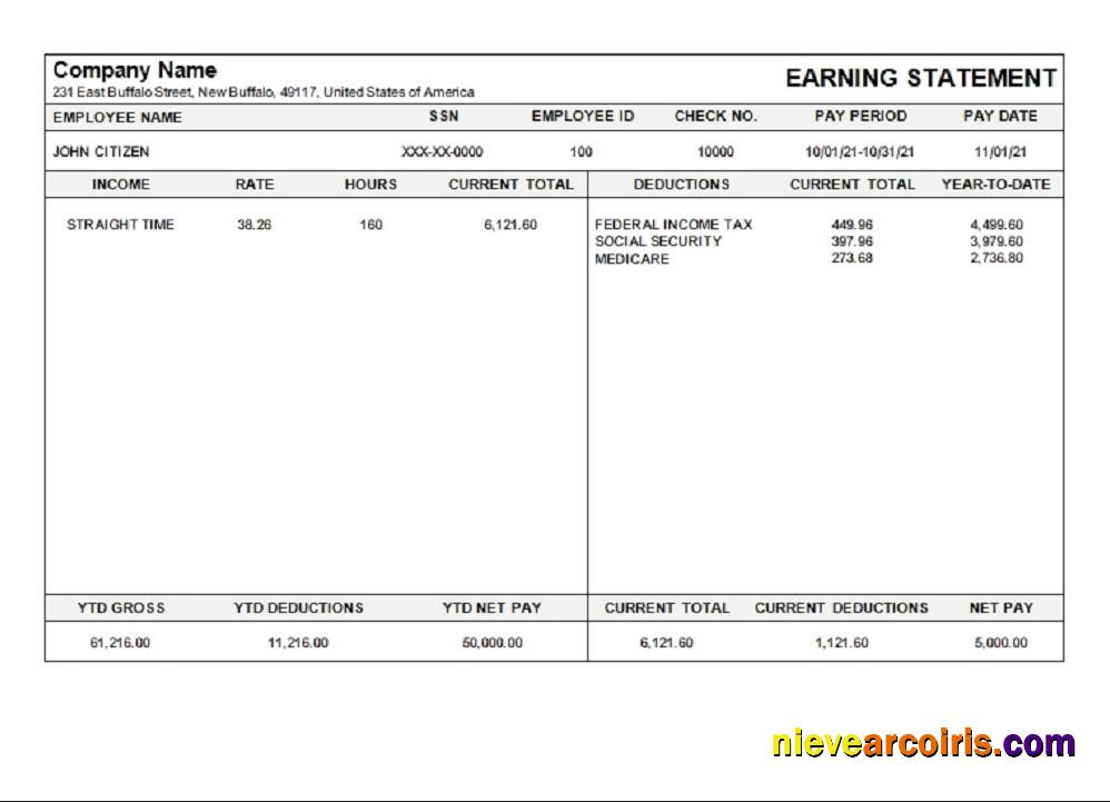 USA Michigan pay stub